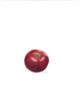 Apfel4.jpg