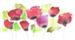 Scan_20200331 (2).jpg