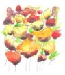 Scan_20200331.jpg